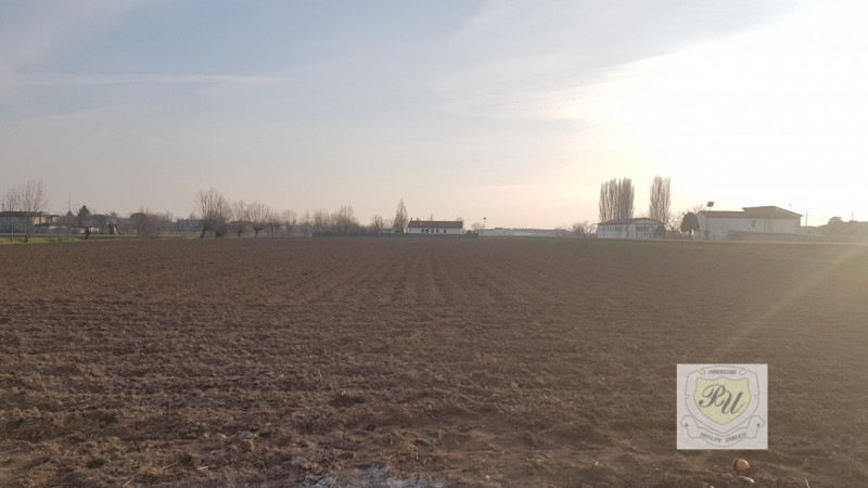 Villa Unifamiliare - Indipendente VIGHIZZOLO D