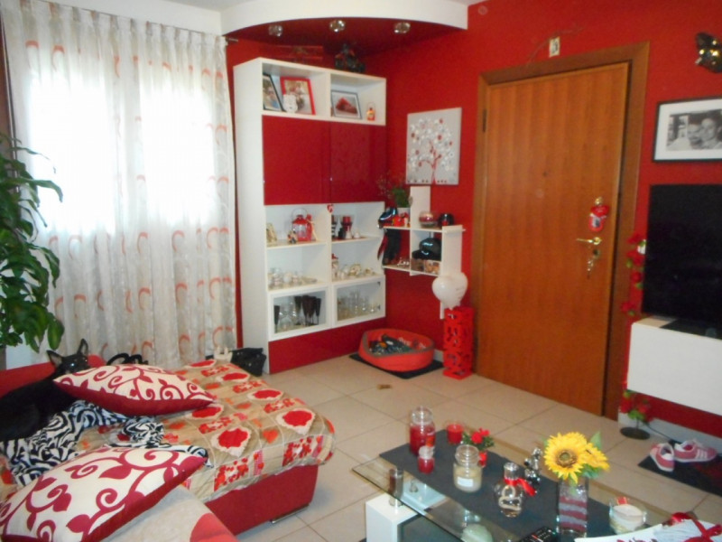 Appartamento VICENZA vendita  Polegge via giulietti Jolly Uno Immobiliare s.a.s.