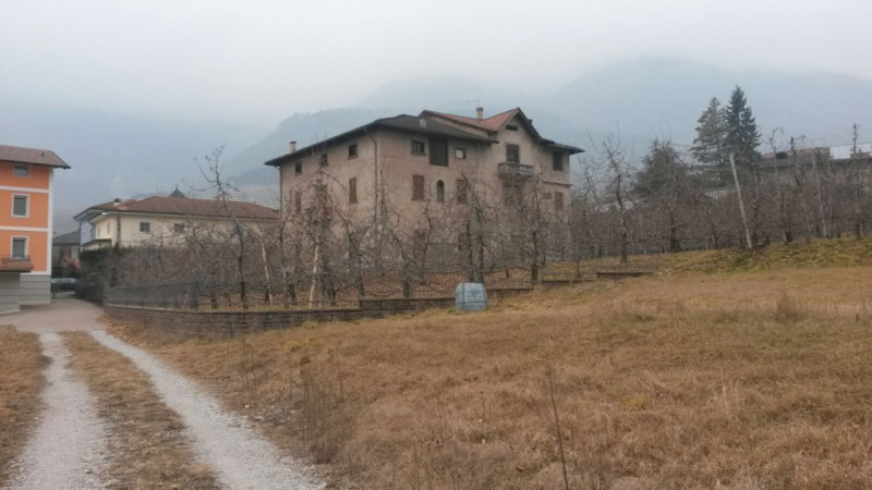 Villa Unifamiliare - Indipendente ITALIA vendita  Tuenno  Agenzia Torre Verde