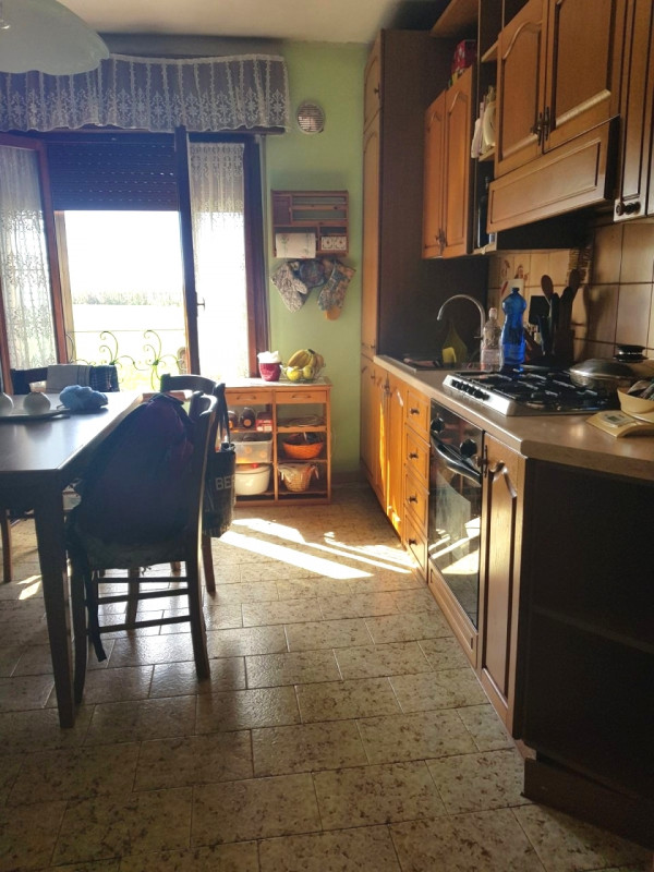 Villa Unifamiliare - Indipendente MIRANO vendita  Vetrego  Europa Immobiliare