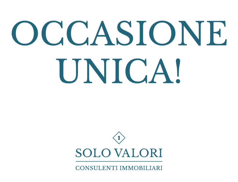 Capannone Commerciale ROVIGO vendita    SOLO VALORI srl