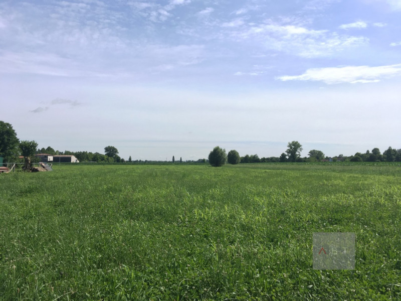 Vendita attività commerciale zona Lobia a San Giorgio In Bosco (PD) 5.150 mq