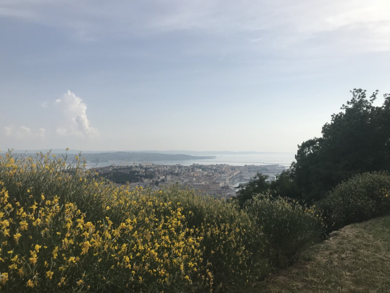 Vendita appartamento Marziale 25 zona Zone di Pregio a Trieste (TS) 180 mq