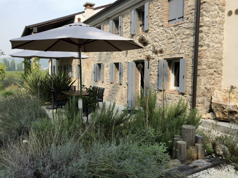 Villa Unifamiliare - Indipendente CINTO EUGANEO vendita  Cinto Euganeo Via Principe Umberto, 54/B Immobiliare Principe Umberto