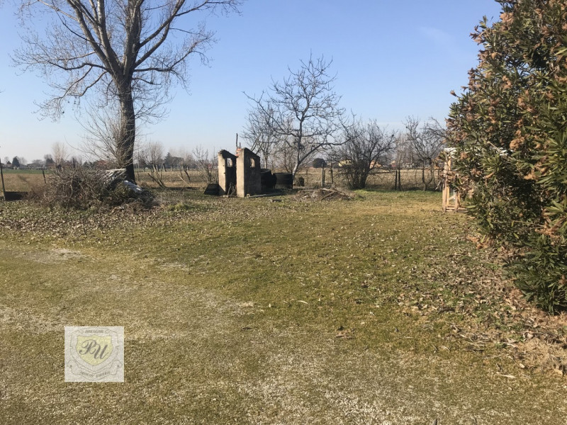 Villa Unifamiliare - Indipendente ESTE vendita  Este Via Principe Umberto, 54/B Immobiliare Principe Umberto