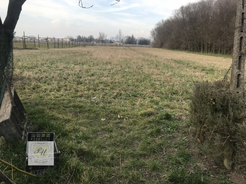 Villa Unifamiliare - Indipendente OSPEDALETTO EUGANEO vendita  Ospedaletto Euganeo Via Principe Umberto, 54/B Immobiliare Principe Umberto