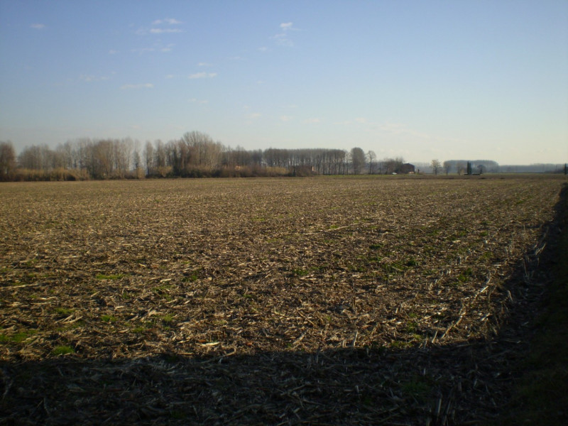 Img. 1