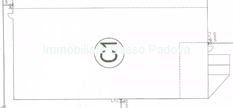 Capannone Commerciale PADOVA affitto  Camin VIGONOVESE Immobiliare Basso
