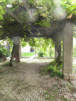 casa singola in affitto Cavezzo foto 011__img_2153.jpg