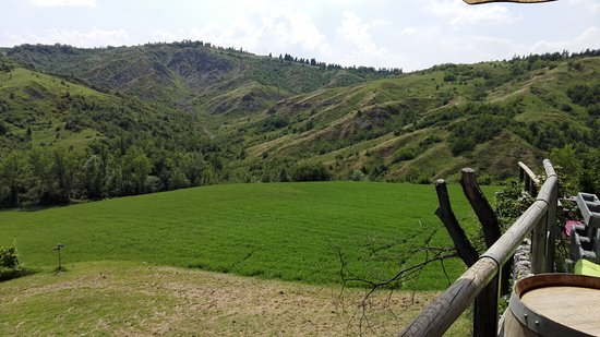  teolo vendita quart: castelnuovo eurocostruzioni eurocasa s.r.l.