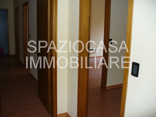  padova affitto quart: piazze spaziocasa-immobiliare-sas