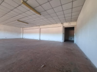 laboratorio in affitto Firenze foto 007__whatsapp_image_2025-11-03_at_10_22_07__2.jpg