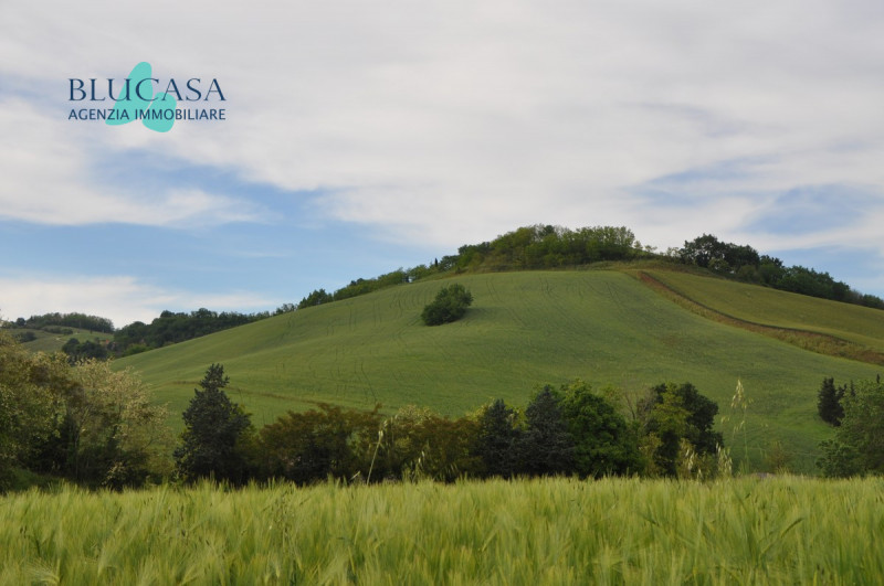 Vendita terreno Strada San Colombano Centro zona San Colombano a Meldola (FC) 110.000 mq