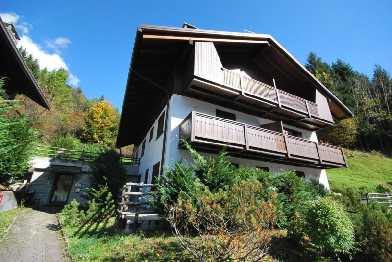 Vendita appartamento Via Venezia zona Auronzo di Cadore - Centro a Auronzo Di Cadore (BL) 98 mq