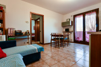 appartamento in affitto Ponte San Nicolò foto 001__dsc_4858.jpg