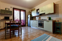 appartamento in affitto Ponte San Nicolò foto 003__dsc_4862.jpg