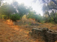 terreno in vendita Sacrofano foto 002__2.jpg