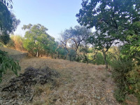 terreno in vendita Sacrofano foto 003__3.jpg