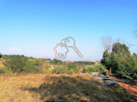 terreno in vendita Sacrofano foto 004__4.jpg