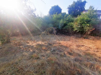 terreno in vendita Sacrofano foto 005__terreno.jpg
