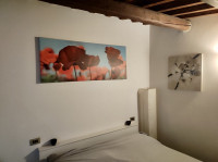 appartamento in affitto Padova foto 009__ed9a8a1d-1e7a-43ef-a6a4-b1f814a1450b.jpg