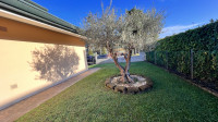 villa in vendita Stra foto 007__img_6197.jpg