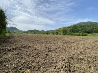 terreno in vendita Teolo foto 000__img_5350.jpg
