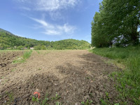 terreno in vendita Teolo foto 004__img_5343.jpg