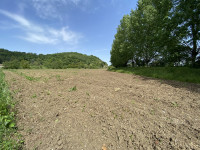 terreno in vendita Teolo foto 005__img_5342.jpg