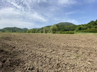 terreno in vendita Teolo foto 007__img_5351.jpg