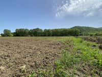 terreno in vendita Teolo foto 009__img_5347.jpg
