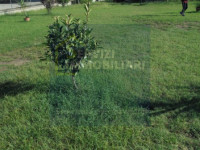 bifamiliare in vendita Riva del Po foto 020__21_wmk_0.jpg