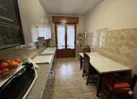 casa singola in vendita Masi foto 012__gemini_generated_image_77ijyt77ijyt77ij.png