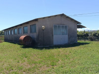 casa singola in vendita Piacenza d'Adige foto 011__photo-2025-07-29-14-07-57_3.jpg