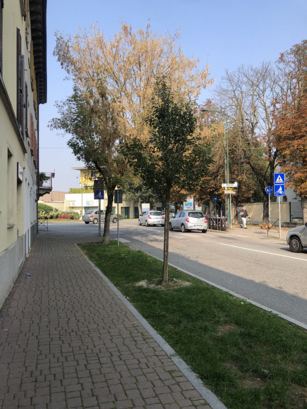 foto principale annuncio