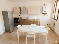 appartamento in affitto Badia Polesine foto 001__gemini_generated_image_n687p1n687p1n687.png