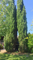 villa in vendita Quartu Sant'Elena foto 023__22.jpg