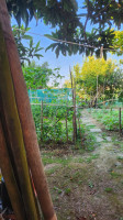 bifamiliare in vendita Saccolongo foto 029__orto-giardino.jpg