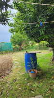 bifamiliare in vendita Saccolongo foto 031__giardino_mestrino_rubano_saccolongo_camere_taverna_camino.jpg