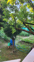 bifamiliare in vendita Saccolongo foto 033__angolo_giardino_orto.jpg