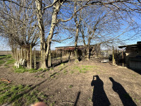 casa singola in vendita Villa Bartolomea foto img_0361.jpg