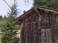 rustico in vendita Auronzo di Cadore foto 002__whatsapp_image_2025-03-21_at_16_58_00_7.jpg