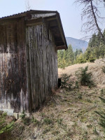 rustico in vendita Auronzo di Cadore foto 006__whatsapp_image_2025-03-21_at_16_58_00_3.jpg