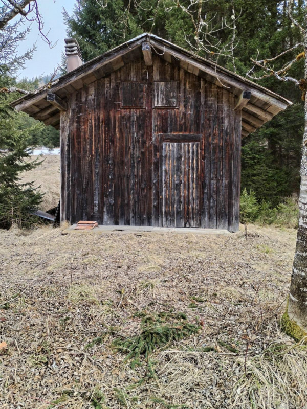 foto principale annuncio