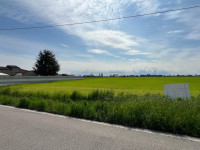 terreno in vendita Legnago foto 000__01de4b0d-7888-41b4-be81-0392719085dc.jpg