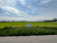 terreno in vendita Legnago foto 001__7adf7843-8f6e-498e-8a73-c98d49200776.jpg