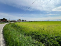 terreno in vendita Legnago foto 002__0242f2f6-79e5-4157-a88e-2427874331a3.jpg
