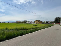 terreno in vendita Legnago foto 004__596cbffe-e865-4349-b161-97b5d13e056a.jpg