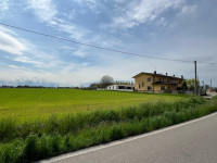 terreno in vendita Legnago foto 005__68cd7a4e-d16e-4cc2-97da-5484090dbed3.jpg