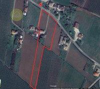 casa singola in vendita Boschi Sant'Anna foto 002__saviato_ok_google_wmk_0.jpg